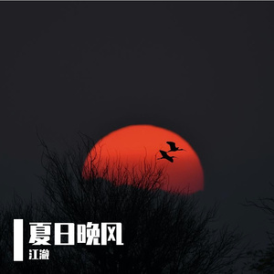 夏日晚风