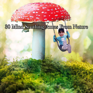 Nature's Spa Music (香草芬多精)