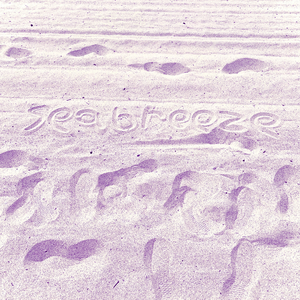 seabreeze slowed and reverb (feat. austyn with a y) (dreamrats Remix)