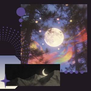 不懂爱的汤姆猫