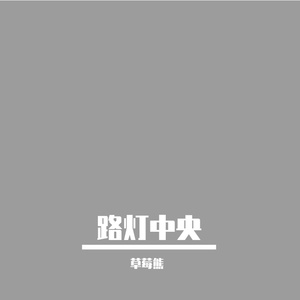 路灯中央