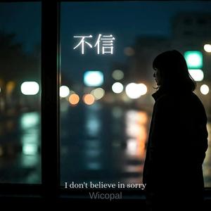 I Don’t Believe in Sorry (不信)