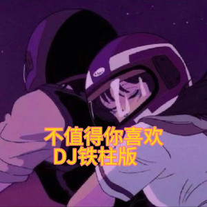 不值得你喜欢 (DJ版)