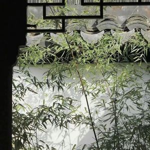 超越时空的思念