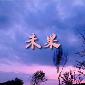 了油-未果（小江哥 remix）