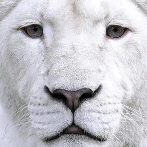 仙儿【情深深雨蒙蒙版】