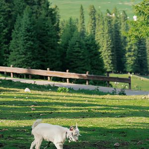 神经末梢的战栗