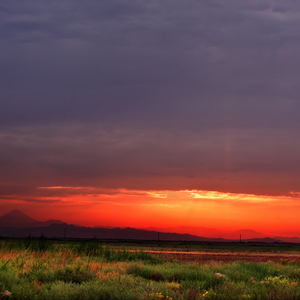 ওমরে ফারুক এর একটি ঘটনা