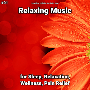 Relaxing Music Pt. 55