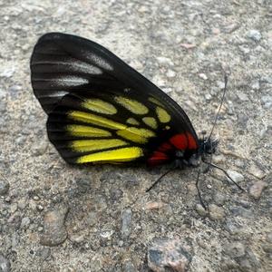 撤回了一条消息