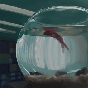 明天崭新的一天里，会不会下雨，没有的话，我们一起看那片湖泽吧