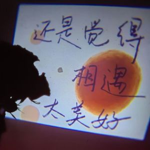 双子三十三