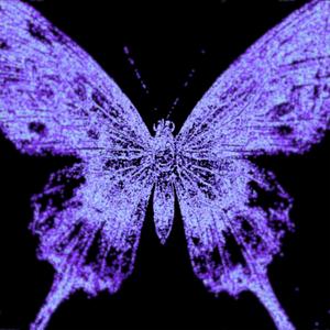 a quiet chrysalis stitched from melancholy and unending sadness