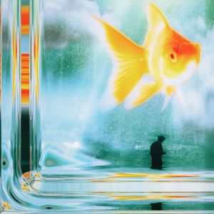 夏日永恒综合征