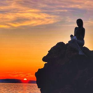 Zavallı Kedi Misali