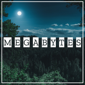 Megabytes