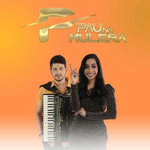Erro Que Dá Certo (Cover)