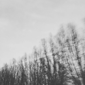 Flower - To 老金