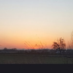 世界好吵，我们悄悄幸福就好