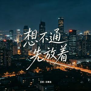 想不通先放着