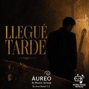 LLEGUÉ TARDE