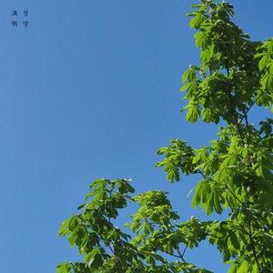 하지 (summer solstice)