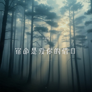 宿命是爱你的借口