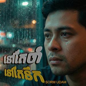 នៅតែចាំនៅតែនឹក