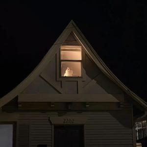 手掌心（cover 丁当 ）