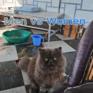 Men Vs Women