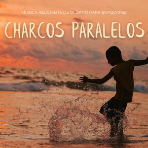 Fluyendo A Través De Ecos Concentrados