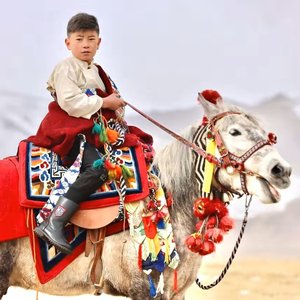 星光群星-桑丁罗布