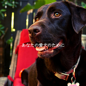 Wonderful (Hybrid Working)