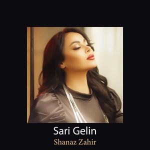 Sari Gelin (Kurdish Live Performance)