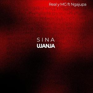 Sina ujanja (feat. Ngajupa)