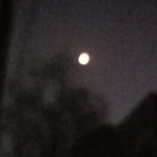约会见