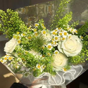 大学小资梦后的现实重压