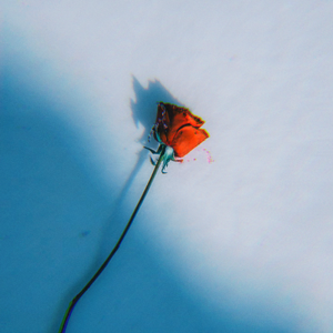 在加纳共和国离婚（cover）