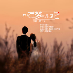 只盼梦中遇见你