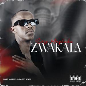 Zwakala(Freestyle)