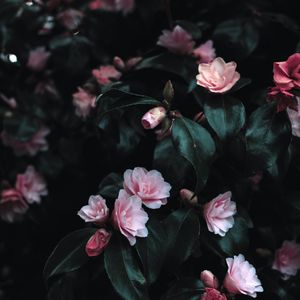 MARVIN-06-小西8经典（MARVIN EDIT（MARVIN remix）