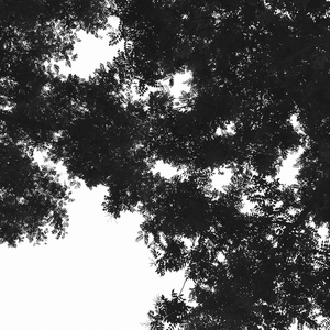 第3人称（翻自 Hush）