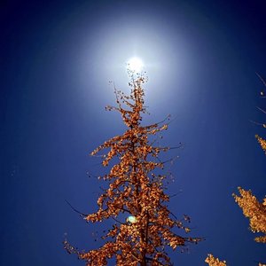 你如月光撞击我心田