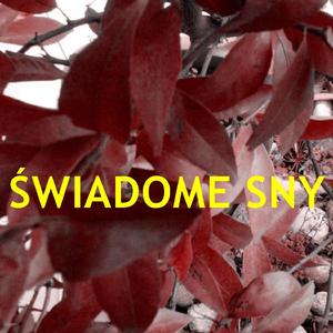 ?wiadome sny