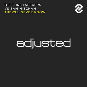 They'll Never Know (Original Mix)