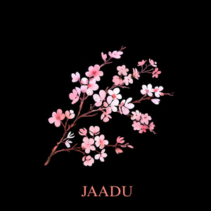 JAADU