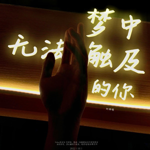 梦中无法触及的你