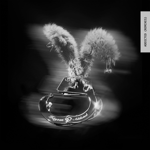 Addicted (Korean Ver.)