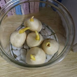 第一首(prod engelwood)