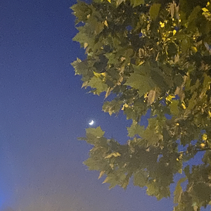 夜路.WAV